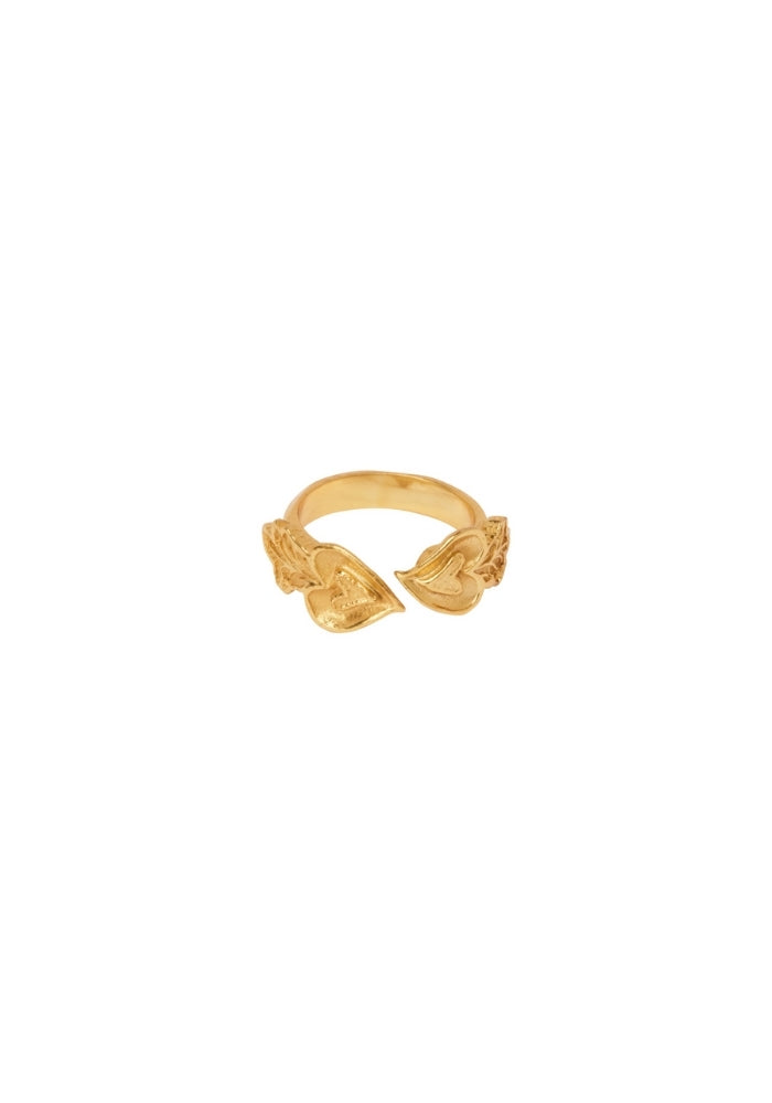 Encanto Heart Ring