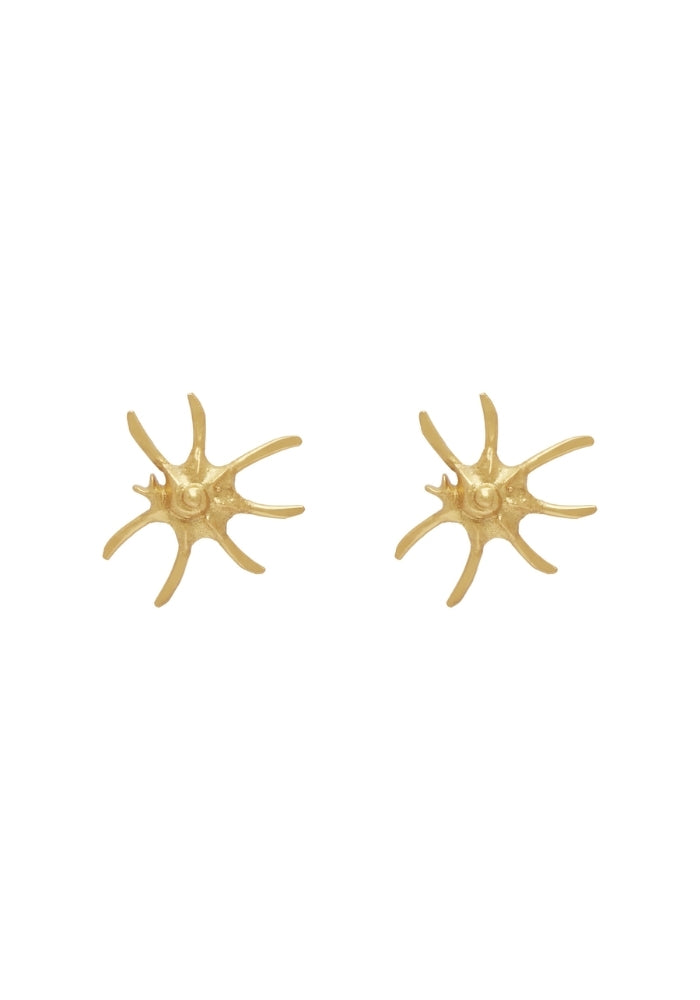 ALEMAIS Reverie Statement Shell Studs