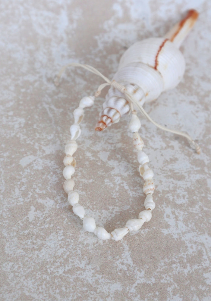 Shell Bracelet