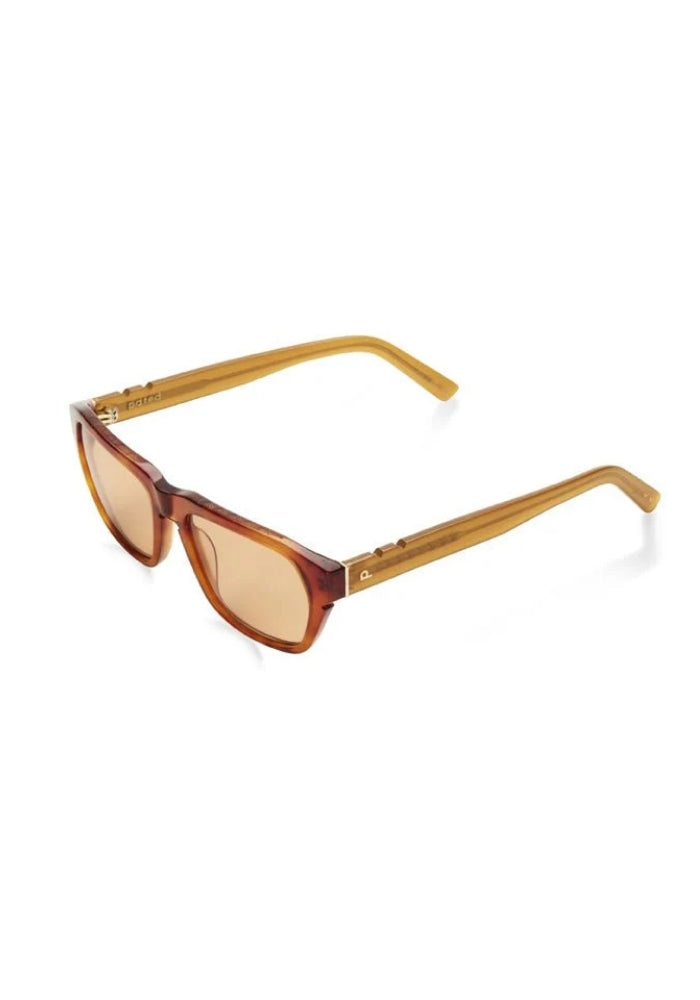 PARED EYEWEAR Divide & Conquer - Havana / Caramel