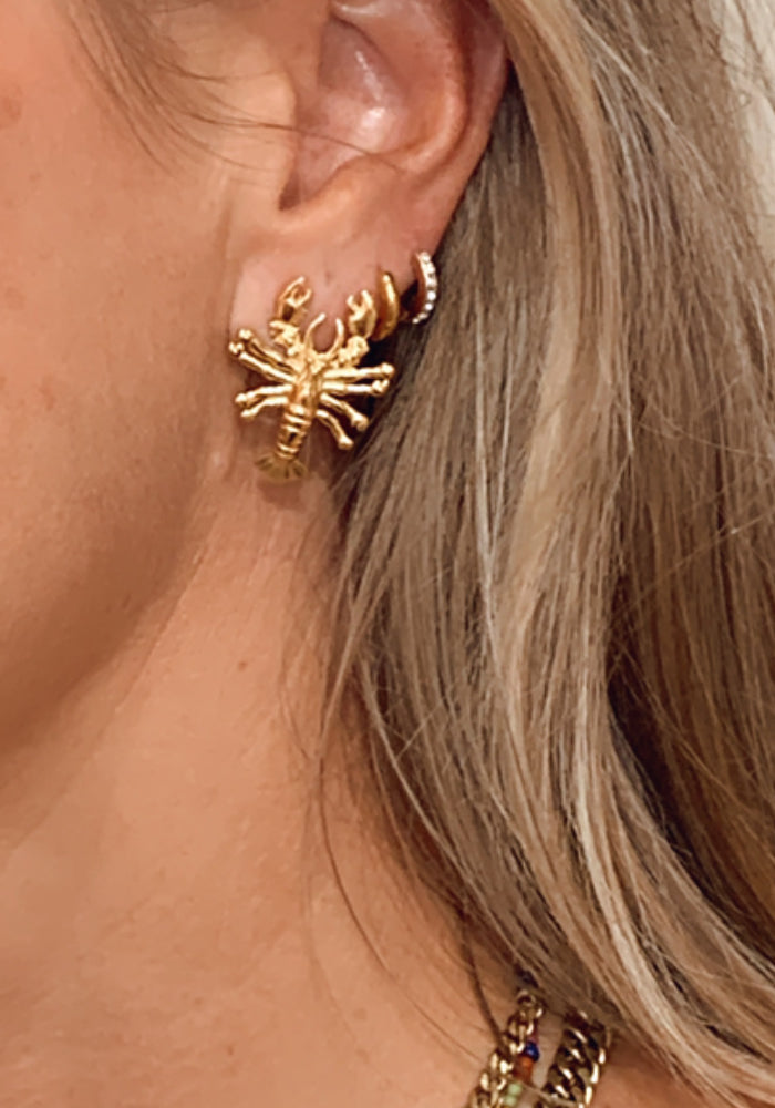 Lobster Earrings